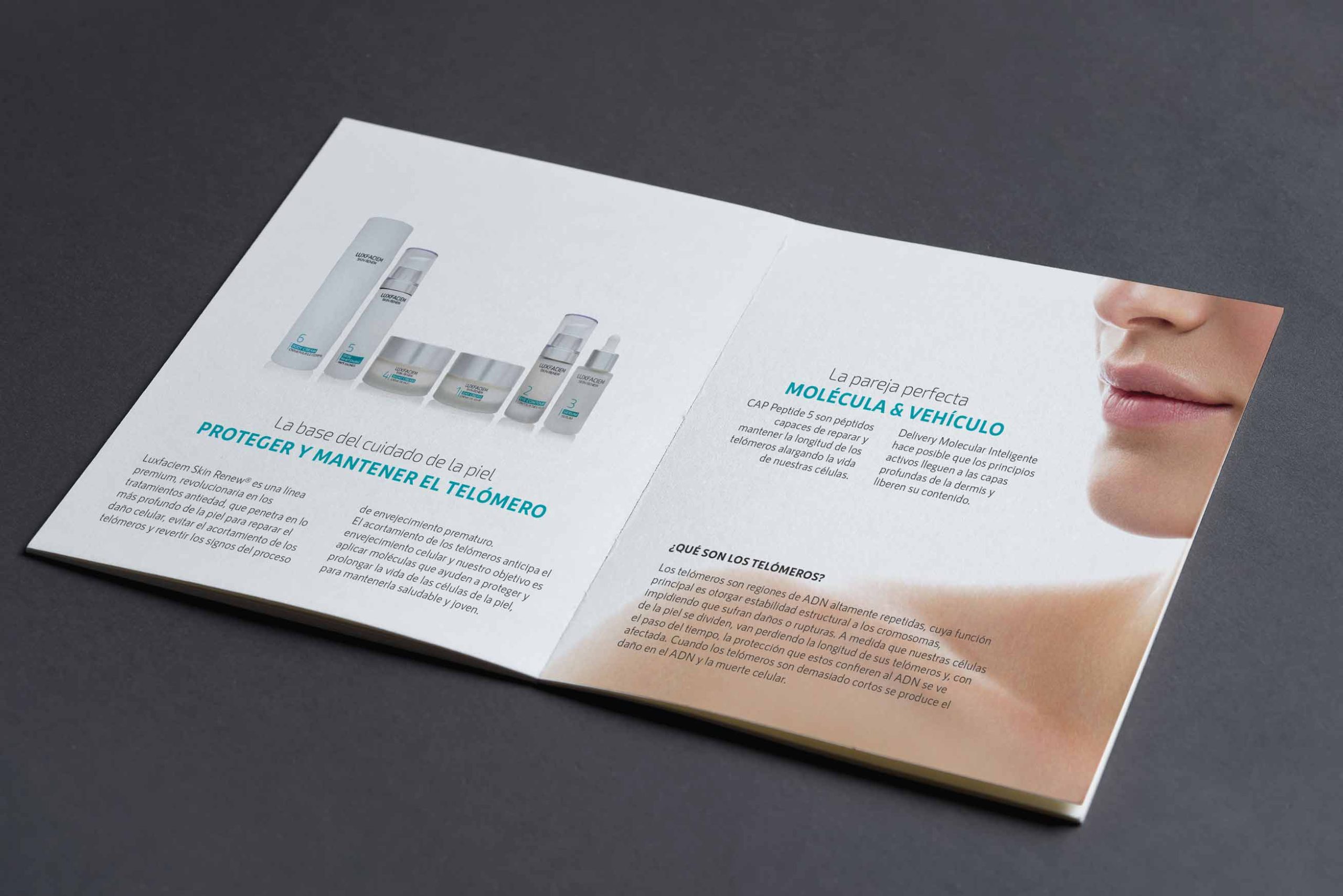 LUXFACIEM-GRAPHIC-DESIGN-BROCHURE-NUVU-JABOIS-FREELANCE LUXFACIEM-GRAPHIC-DESIGN-BROCHURE-NUVU-JABOIS-FREELANCE