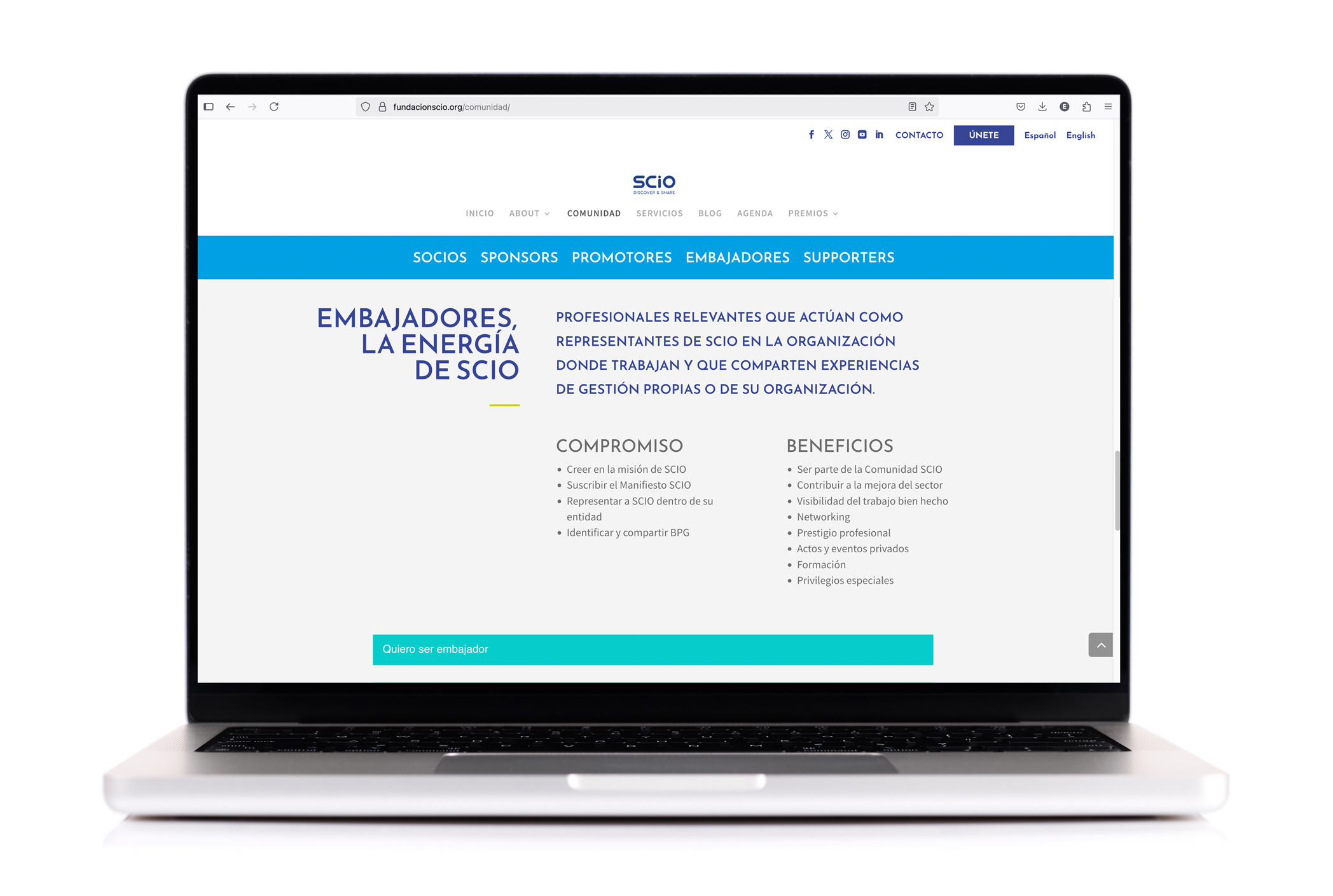 SCIO-FUNDACIO-WEB-DESIGN-NUVU-JABOIS-FREELANCE SCIO-FUNDACIO-WEB-DESIGN-NUVU-JABOIS-FREELANCE