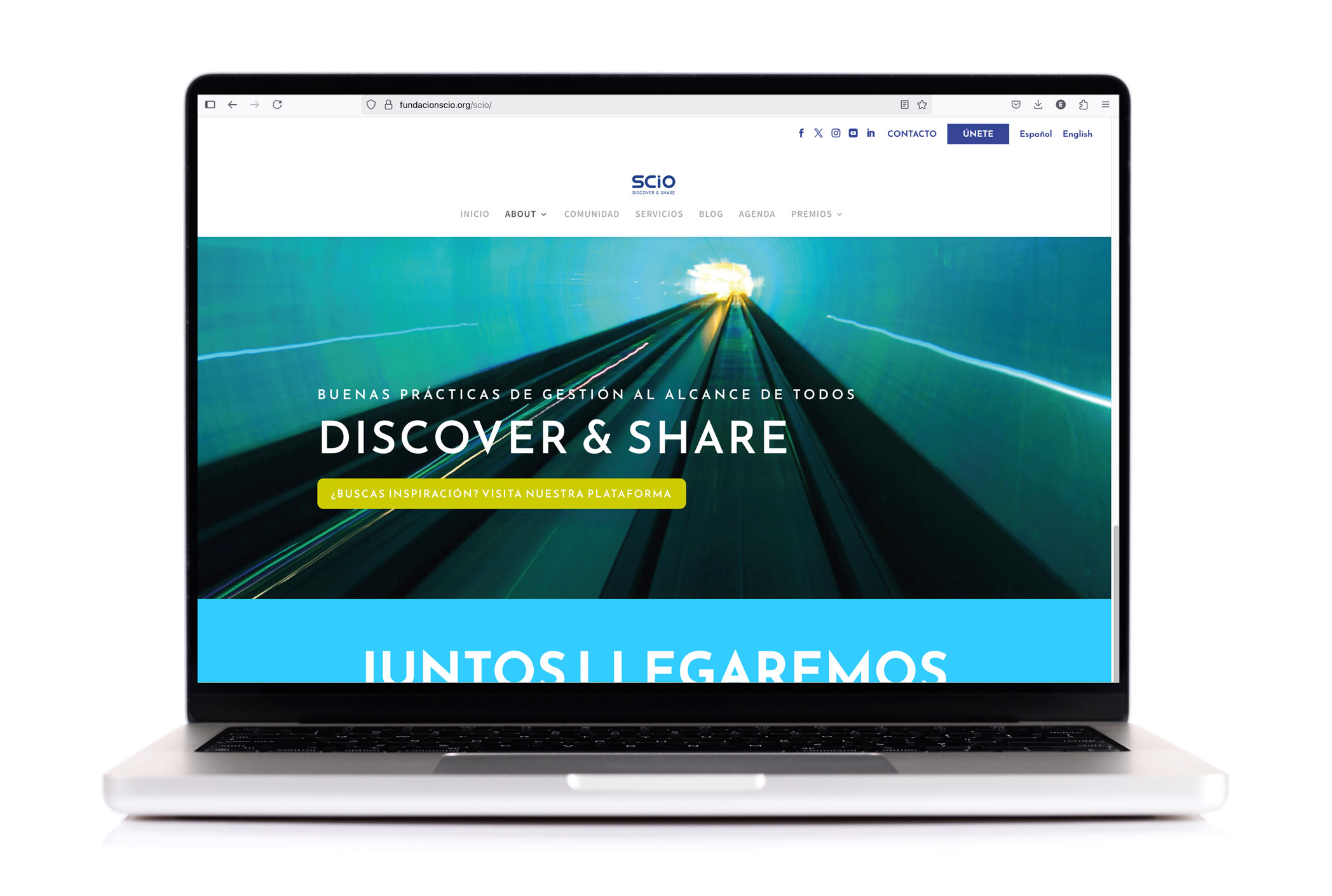 SCIO-GRAPHIC-WEB-DESIGN-WORDPRESS-NUVU-JABOIS-FREELANCE SCIO-FUNDACIO-WEB-DESIGN-NUVU-JABOIS-FREELANCE